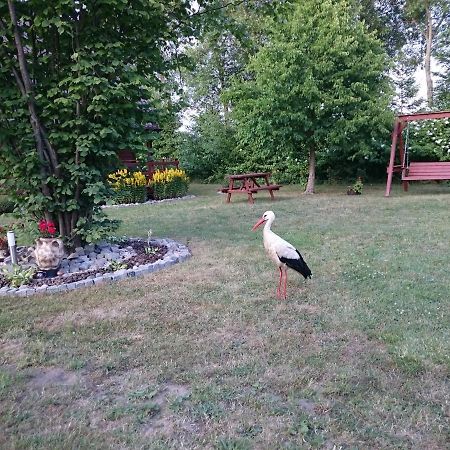 Agroturystyka I Domki Zacisze Jarosławiec Exteriör bild