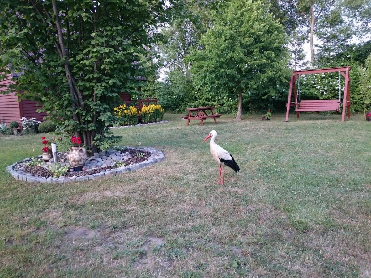 Agroturystyka I Domki Zacisze Jarosławiec Exteriör bild
